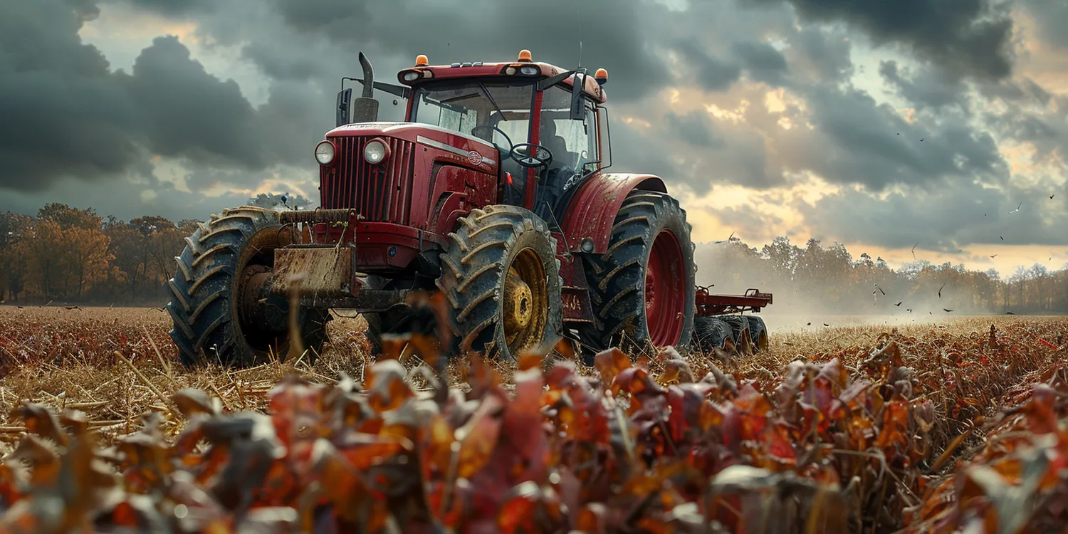 Praca opiekunki za granicą